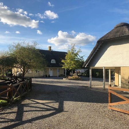 Anneks V/Stevns Klint Hotel Store Heddinge Kültér fotó